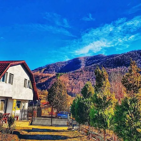 Panaite's Villa Nehoiu